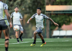 Zaracho, que, segundo Milito, anda convivendo com alguns problemas físicos, hoje, para mim, deveria ser titular.