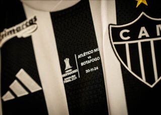 A temporada do Galo mostrou-se peculiar: duas grandes finais, mas pouca regularidade. Como consequência deste segundo fator, clube fora da Libertadores ano que vem. O trabalho de Milito, para mim, vem deixando a desejar...